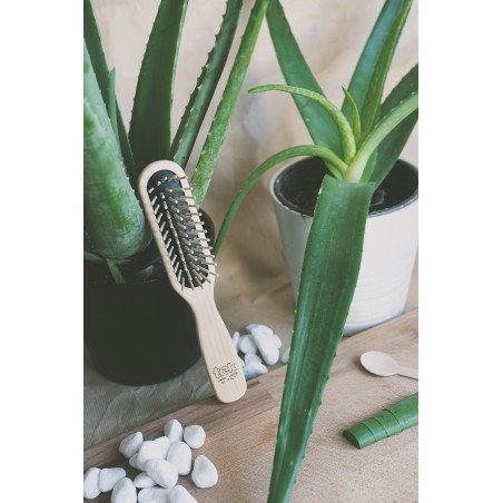 Small Paddle Brush with Short Bristles in Hornbeam Wood | For Short Hair